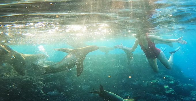 Sea of Cortez, Mexico