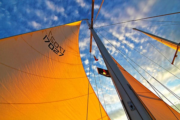 Beautiful sunset sail in the sea of cortez with nautilus sailing