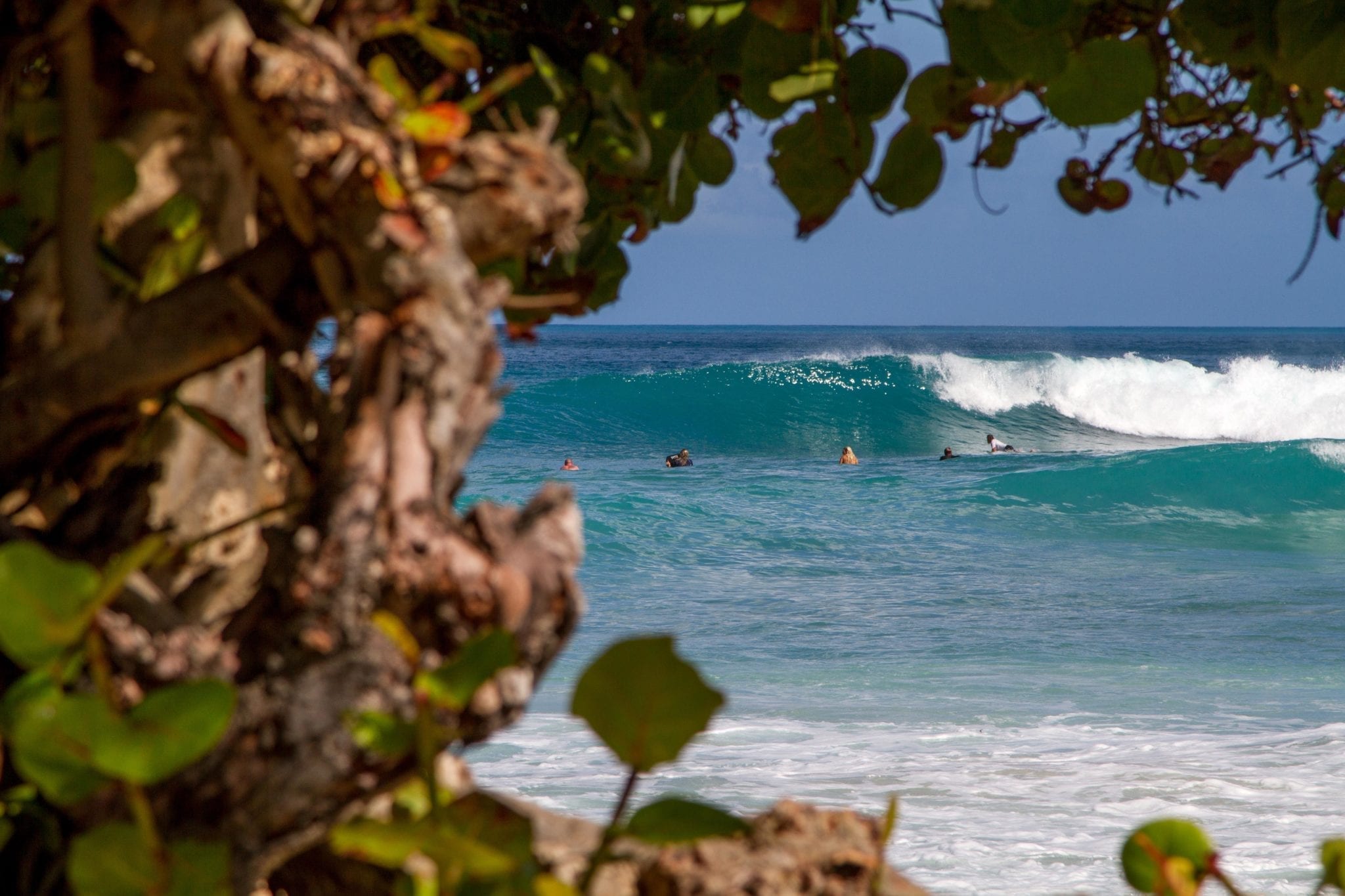 Surfing Apple Bay JM