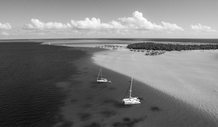 photo catamaran de course