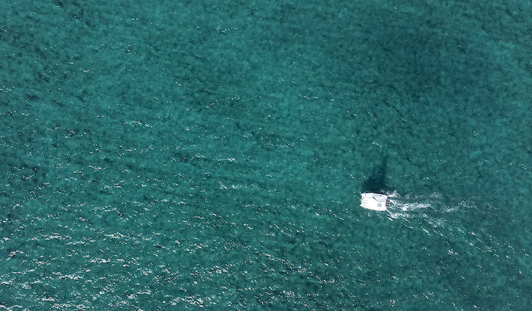 OFFSHORE EXPERIENCES<br>CUSTOM ADVENTURES