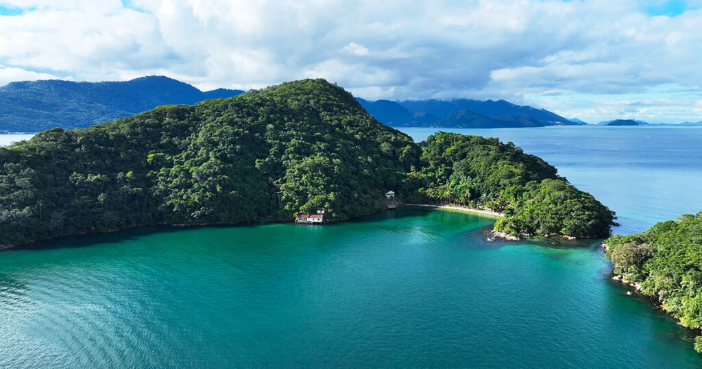 brazil flotilla